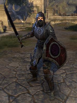 thieves_guild_style-heavy-armor-sword-shield