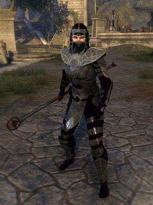 thieves_guild_style-light-armor-jerkin-staff