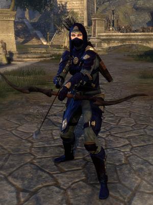 thieves_guild_style-medium-armor-bow