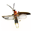 torchbug-thorax-alchemy-eso